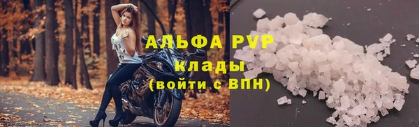 СК Ладушкин