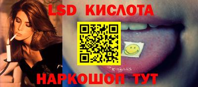 шишки Гатчина