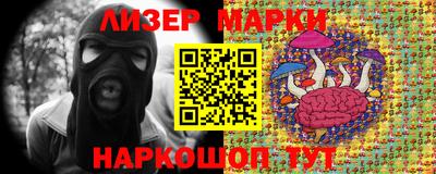 шишки Гатчина