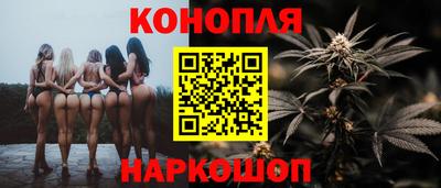 шишки Гатчина