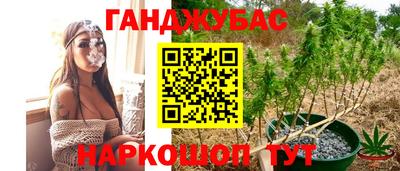 шишки Гатчина