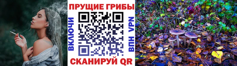hydra как войти  где продают   Иваново  Псилоцибиновые грибы мицелий 