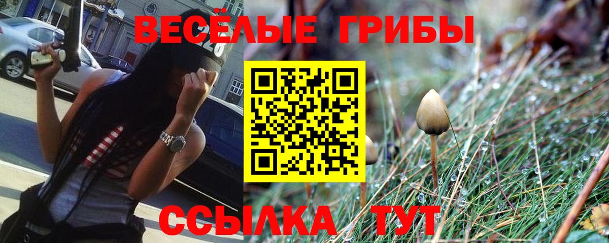 Галлюциногенные грибы Cubensis  цены   Иваново 