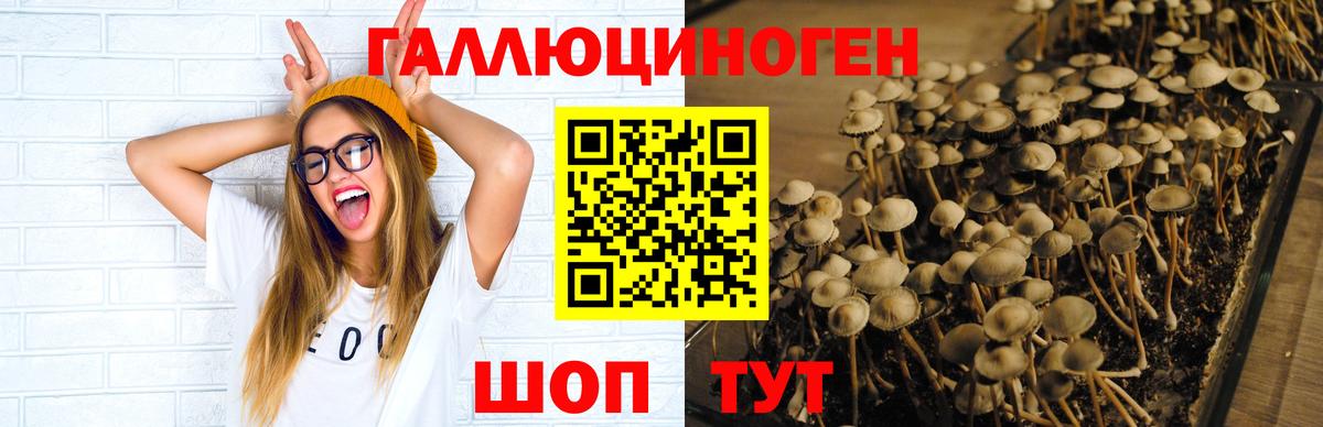 Иваново  что такое   Галлюциногенные грибы GOLDEN TEACHER  Вход с VPN  Псилоцибиновые грибы ЛСД 