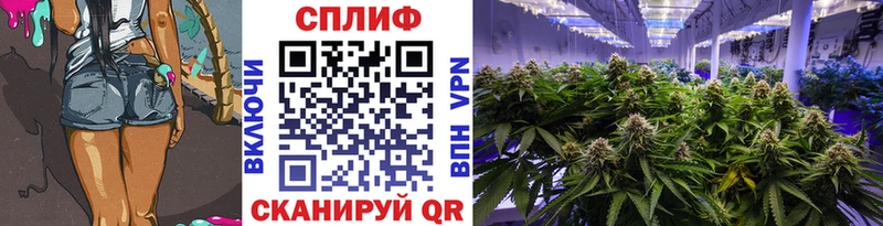 mega   Иваново  Шишки марихуана Amnesia  как найти наркотики 